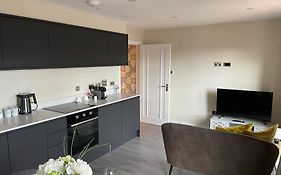 Central Modern Flat